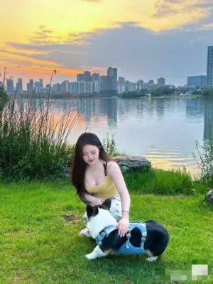 艾丽 Aili